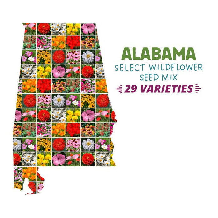 Alabama Select Wildflower Seed Mix|Alabama Select Wildflower Seed Mix