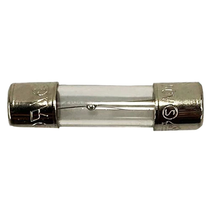 Balboa Water Group 2A Fuse 250V