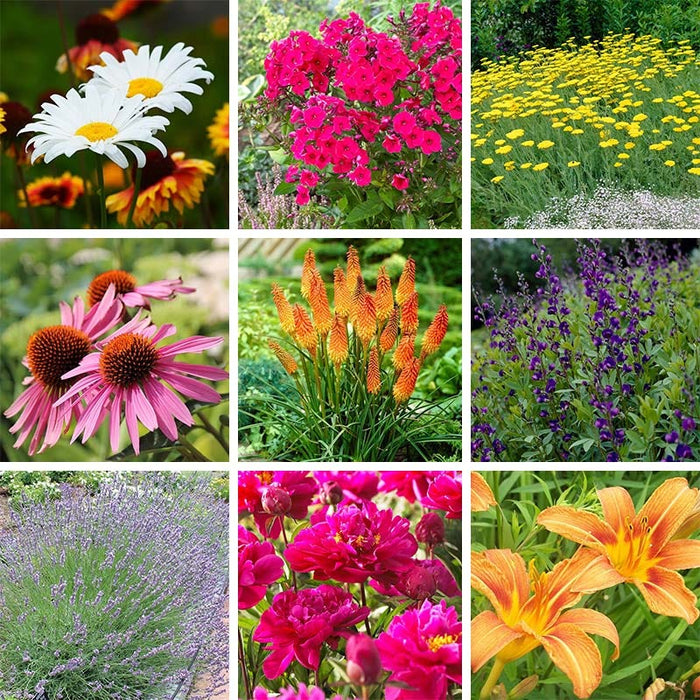 Beautiful Bouquets Pre-Planned Garden|Beautiful Bouquets Pre-Planned Garden