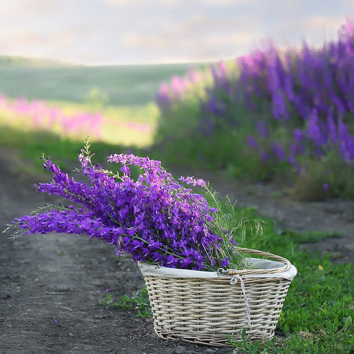 Bouquets For Days Annual Wildflower Seed Collection|Basket of Lilac Delphinium