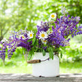 Bouquets For Days Perennial Wildflower Seed Collection|Lupine and Daisy bouquet