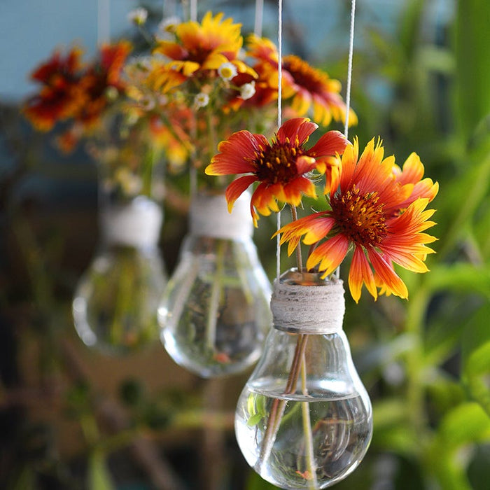 Bouquets For Days Perennial Wildflower Seed Collection|Hanging Blanket Flower bouquet