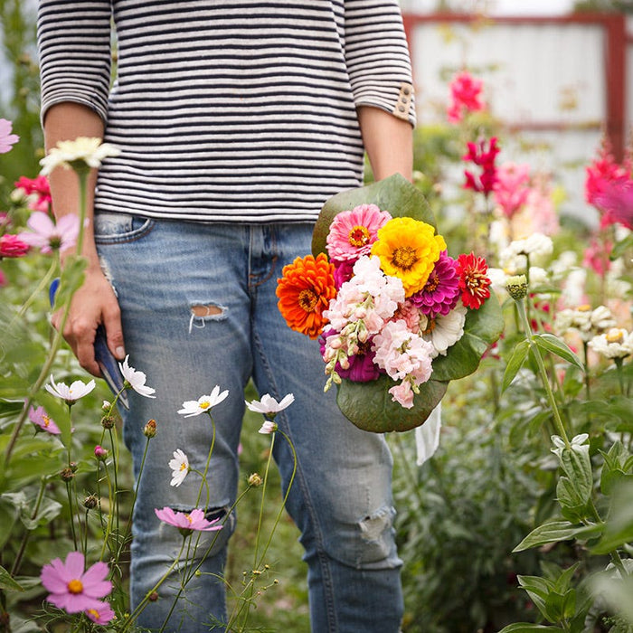 Bouquets For Days Wildflower Seed Mix|Person holding mixed wildflower bouquet