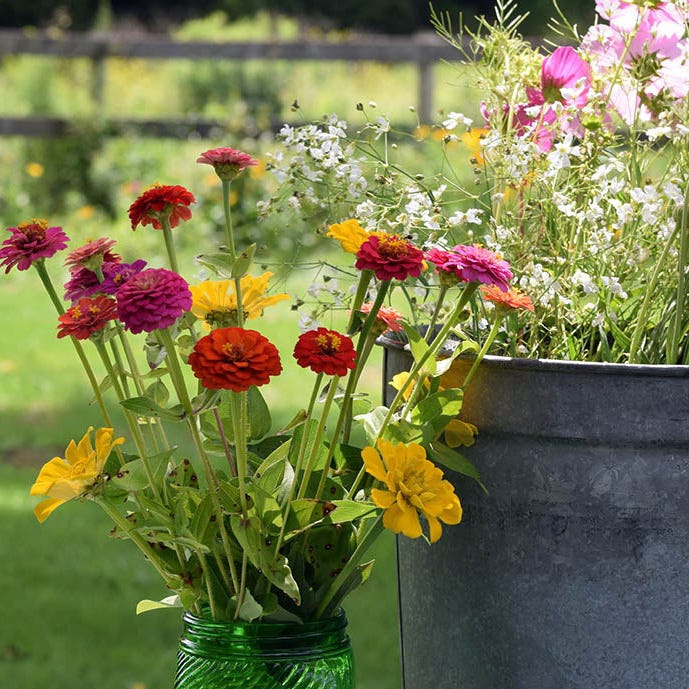 Bouquets For Days Wildflower Seed Mix|Bouquet of wildflowers