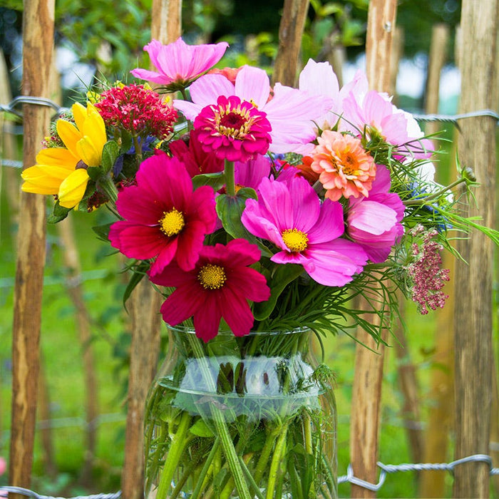 Bouquets For Days Wildflower Seed Mix|Bouquets for Days Wildflower Seed Mix, Bouquet of cut flowers