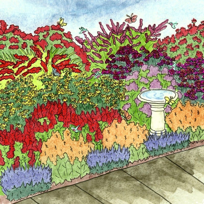 Butterfly & Hummingbird Pre-Planned Garden|Butterfly and Hummingbird Pre-Planned Garden Illustration