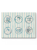Coin Collection, Canvas
