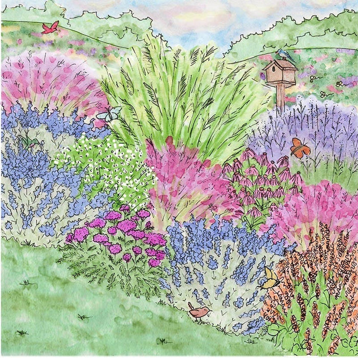 Dreamy Meadow Pre-Planned Garden|Dreamy Meadow Pre-Planned Garden