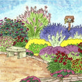 Drought Tolerant Pre-Planned Garden|Drought Tolerant Pre-Planned Garden
