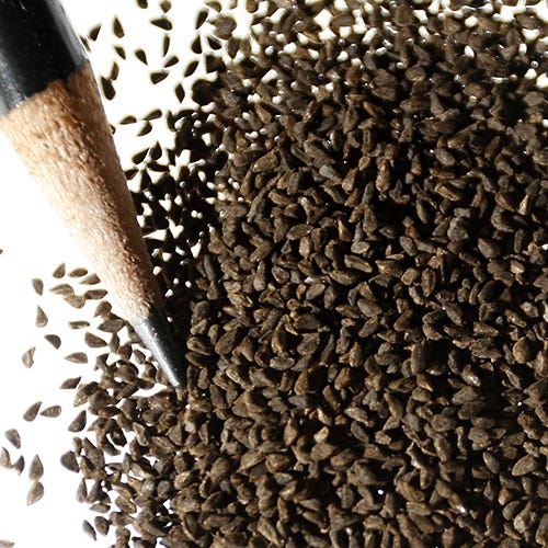 Farewell to Spring Seeds|Pink Farewell to Spring Wildflower Seeds