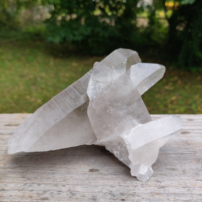 Lemurian Smoky Quartz Point (#11) - Simply Affinity