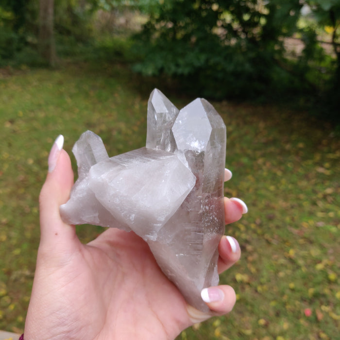 Lemurian Smoky Quartz Point (#11) - Simply Affinity
