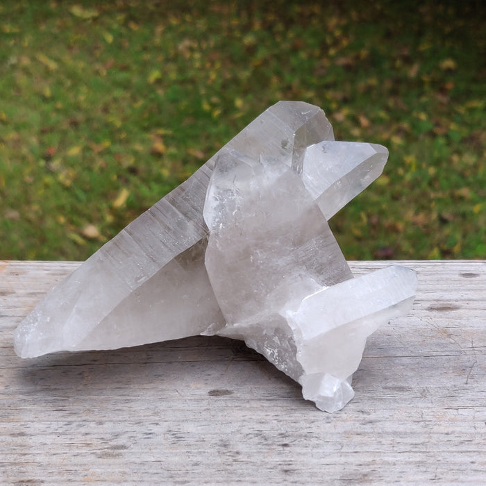 Lemurian Smoky Quartz Point (#11) - Simply Affinity
