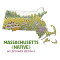 Massachusetts Native Wildflower Seed Mix
