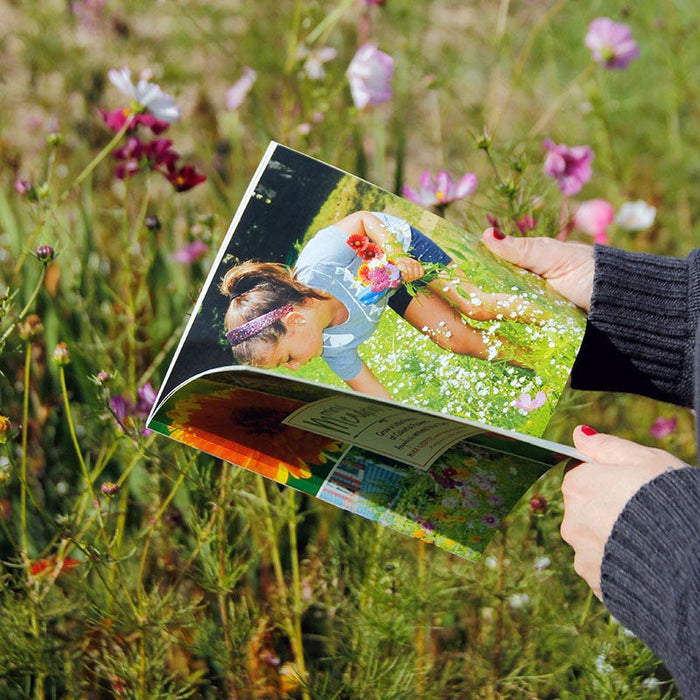 Mini Meadows: Grow A Little Patch Of Colorful Flowers Anywhere Around Your Yard|Mini Meadows Book
