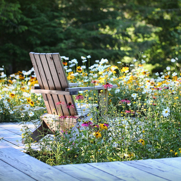 Mini Meadows: Grow A Little Patch Of Colorful Flowers Anywhere Around Your Yard|Chair and Deck Surrounded by Wildflowers