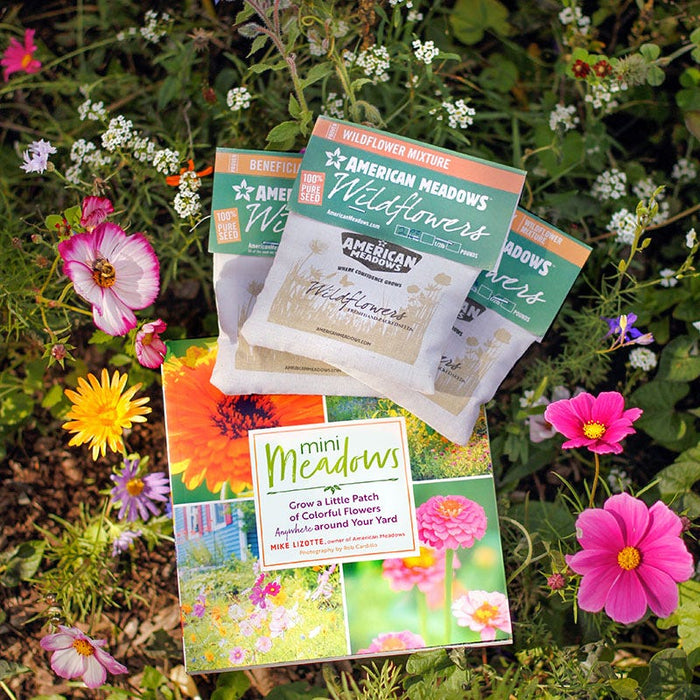 Mini Meadows Wildflower Kit|Mini Meadows Wildflower Seed Kit