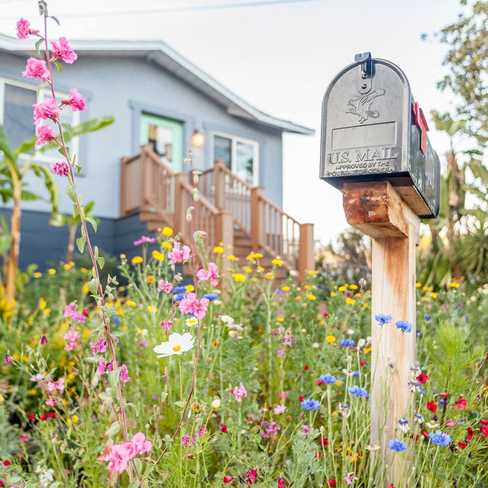 Mini Meadows Wildflower Seed Mix|Mailbox in Mini Meadow