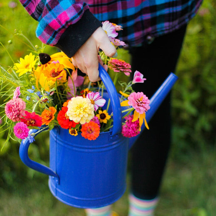 Mini Meadows Wildflower Seed Mix|Flowers in Watering Can