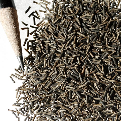 Moss Verbena Seeds