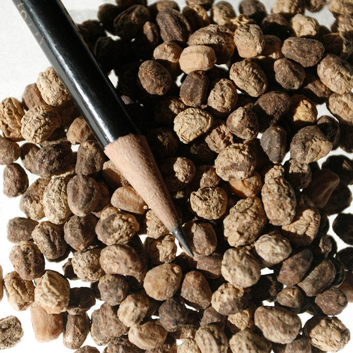 Nasturtium Seeds|Orange and Yellow Nasturtium Seeds, Tropaeolum majus seeds