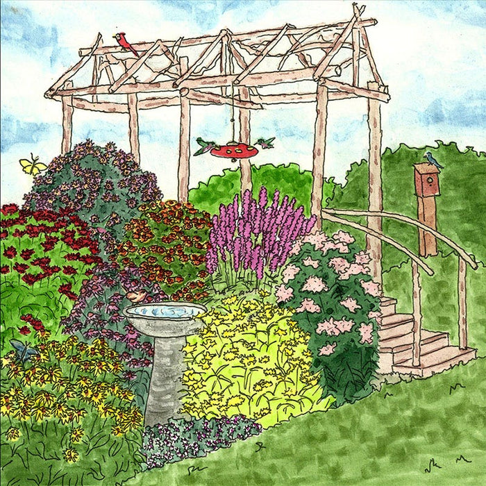 Natural Nectar Native Pre-Planned Garden|Natural Nectar Native Pre-Planned Garden