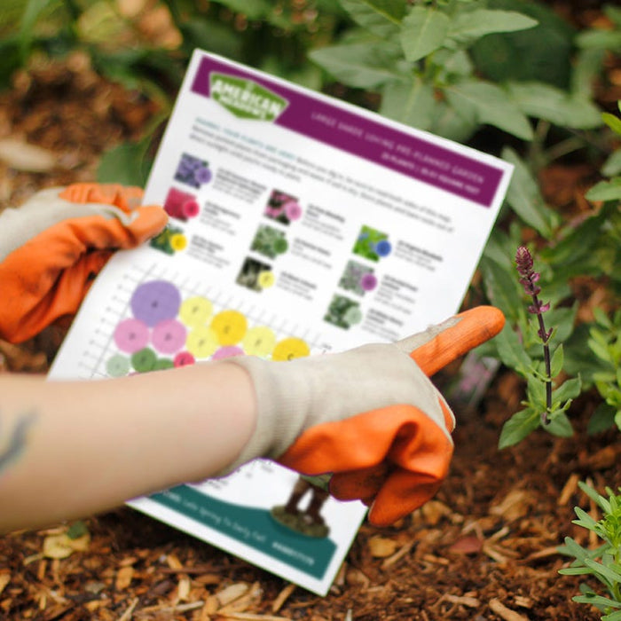 No Nibble Deer Resistant Pre-Planned Garden