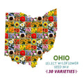 Ohio Select Wildflower Seed Mix|Ohio Select Wildflower Seed Mix