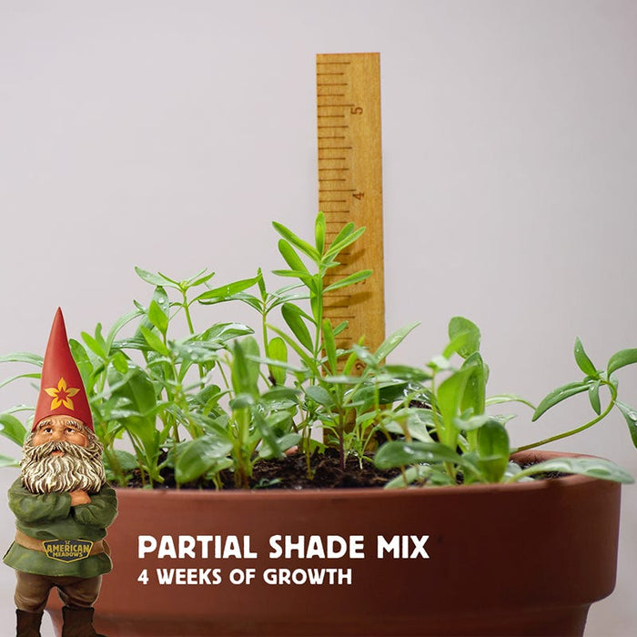 Partial Shade Wildflower Seed Mix|Partial Shade Wildflower Seed Mix, 4 Weeks of Growth