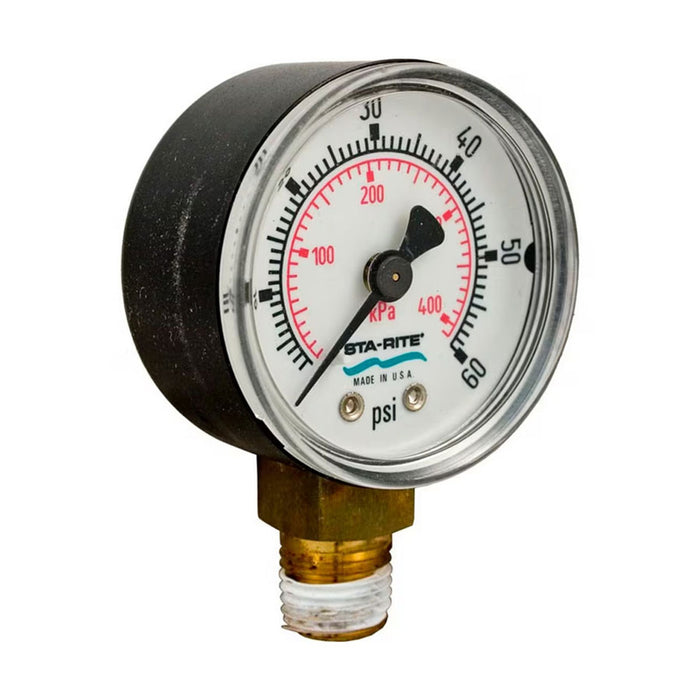 Pentair 1/4" Pressure Gauge