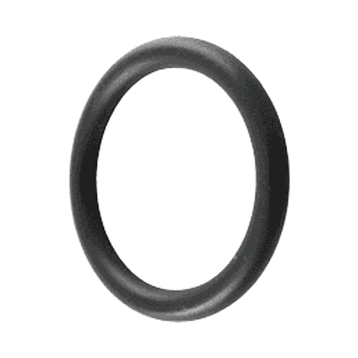 Pentair Bulkhead 2-1/4" O-Ring