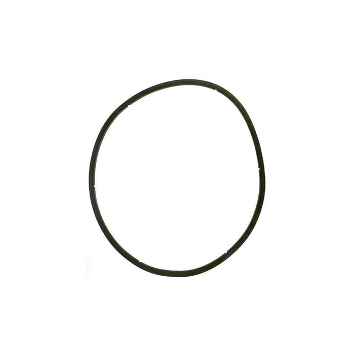 Pentair EQ Series Strainer Lid Gasket