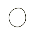 Pentair EQ Series Strainer Lid Gasket