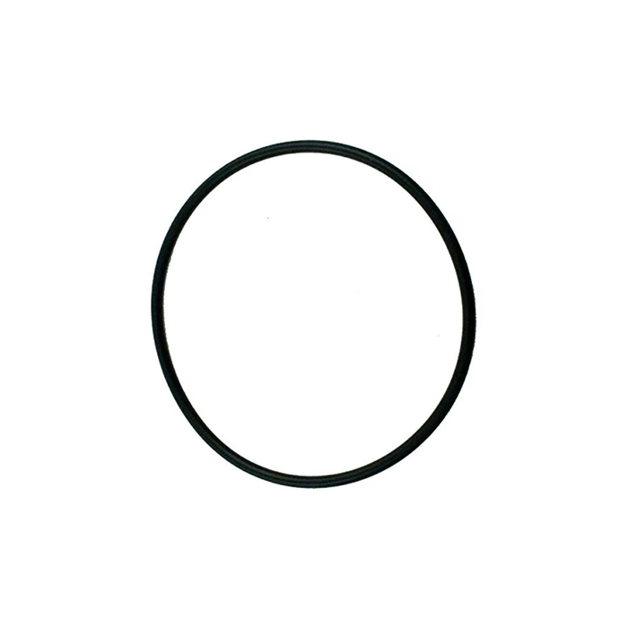 Pentair Lid O-Ring Replacement