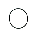 Pentair Lid O-Ring Replacement