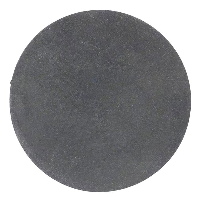 Pentair Sand Drain Gasket