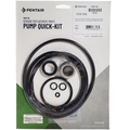 Pentair Sta-Rite Pump Quick Kit