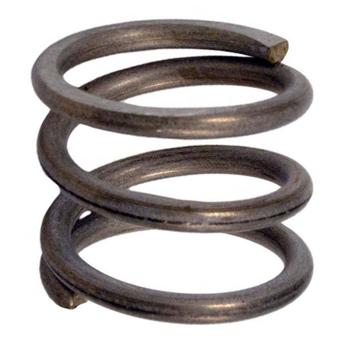 Pentair Stainless Steel 304 Spring