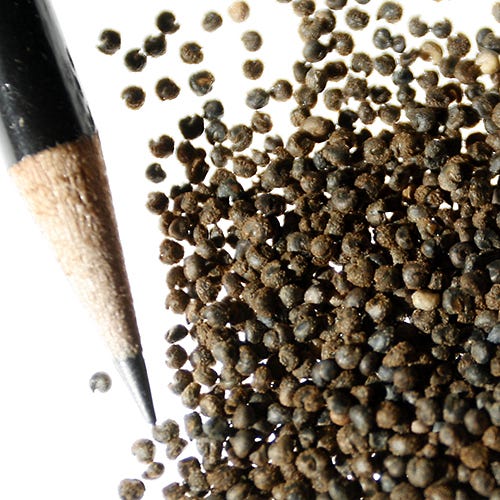 Spider Plant Seeds
