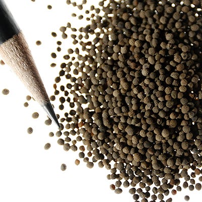 Splendid California Poppy Seed Mix|California Poppy Seeds Splendid Mix, Eschscholzia californica