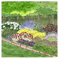 Summer Long Blooms Pre-Planned Garden|Summer Long Blooms Pre-Planned Garden