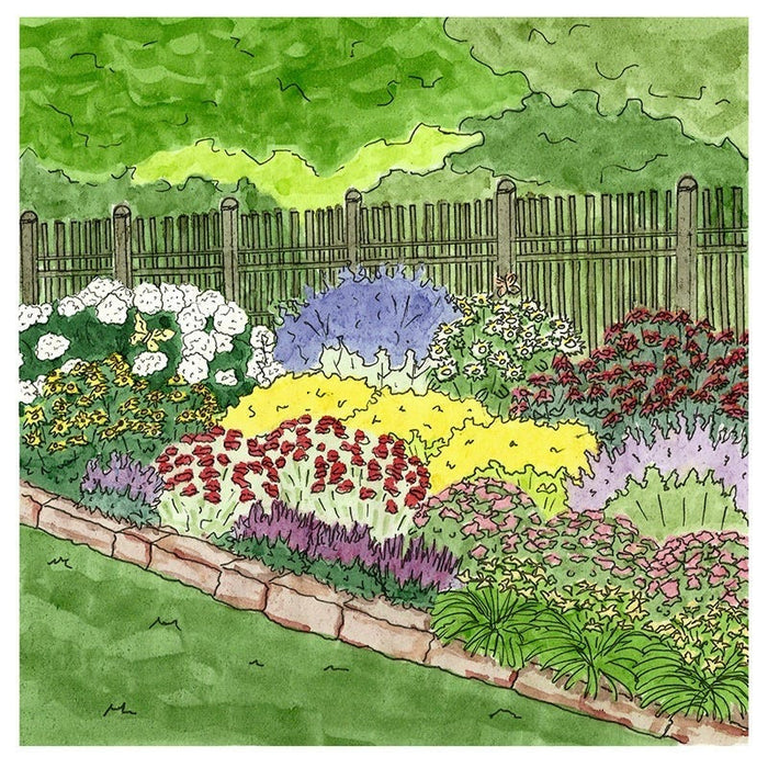 Summer Long Blooms Pre-Planned Garden|Summer Long Blooms Pre-Planned Garden