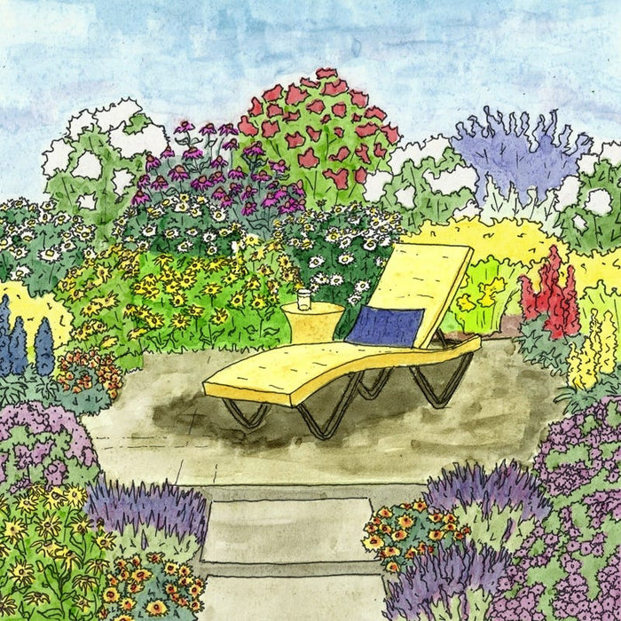 Sun Loving Pre-Planned Garden - Large|Sun Loving Pre-Planned Garden - Large