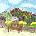 Sun Loving Pre-Planned Garden - Small|Sun Loving Pre-Planned Garden - Small