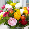 Tecolote Ranunculus Mix|Tecolote Persian Buttercups Mix, Ranunculus Tecolote Mix, bouquet