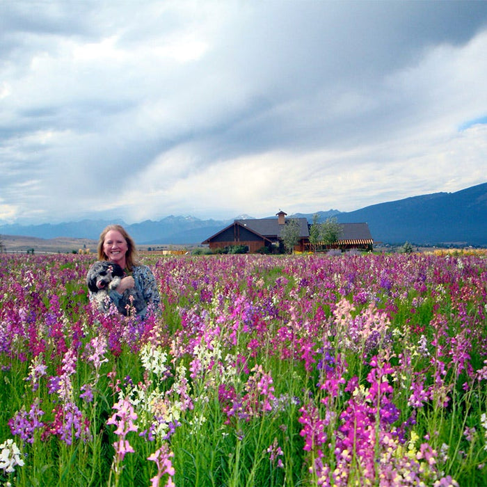 Texas Bluebonnet & Baby Snapdragon Seed Combo|Field of Snapdragon Wildflowers in full bloom