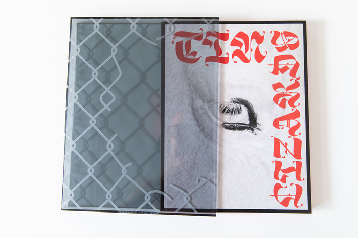 TIN LIZARDS