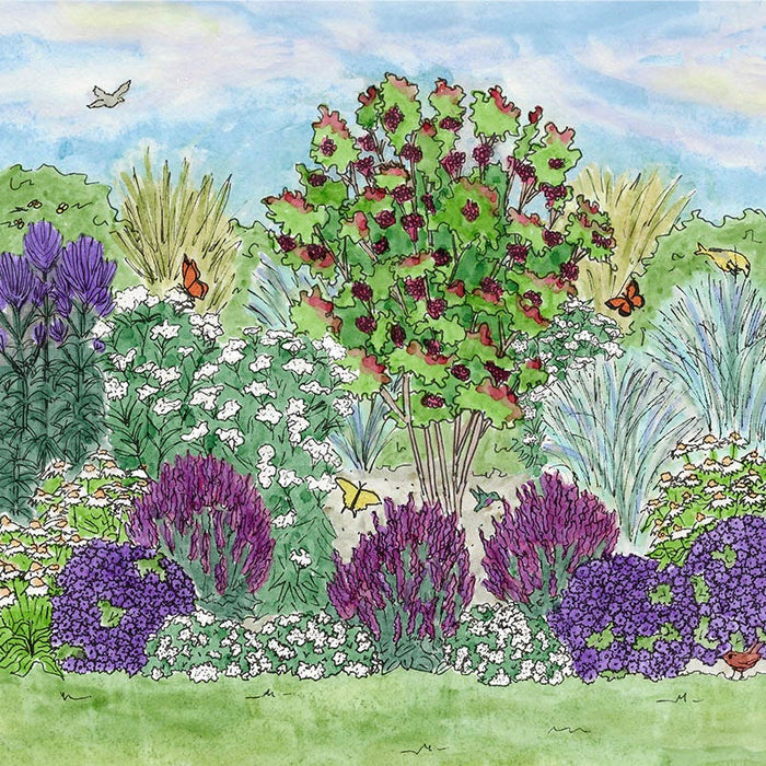 Violet Dreamscape Pre-Planned Garden|Violet Dreamscape Pre-Planned Garden Illustration