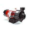 Waterway Tiny Might Pump - 230V with 1-inch union intake and side discharge design for optimum flow.