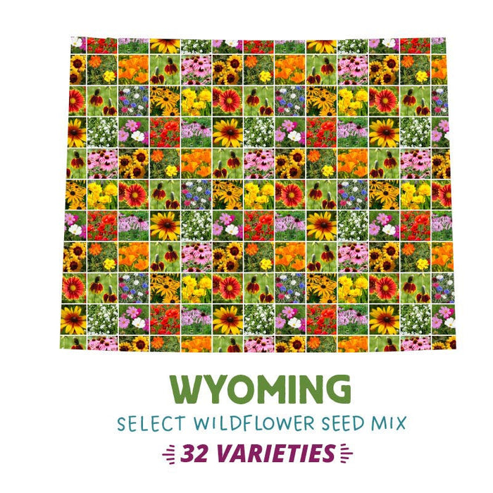 Wyoming Select Wildflower Seed Mix|Wyoming Select Wildflower Seed Mix